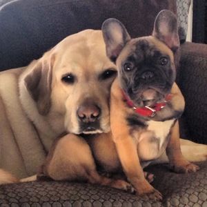 Meet your Posher, Brooke